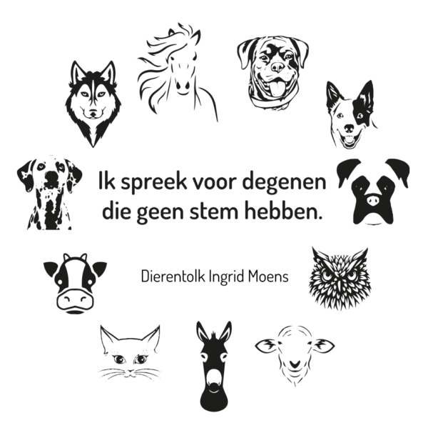 dierentolk_ingrid_moens_nl