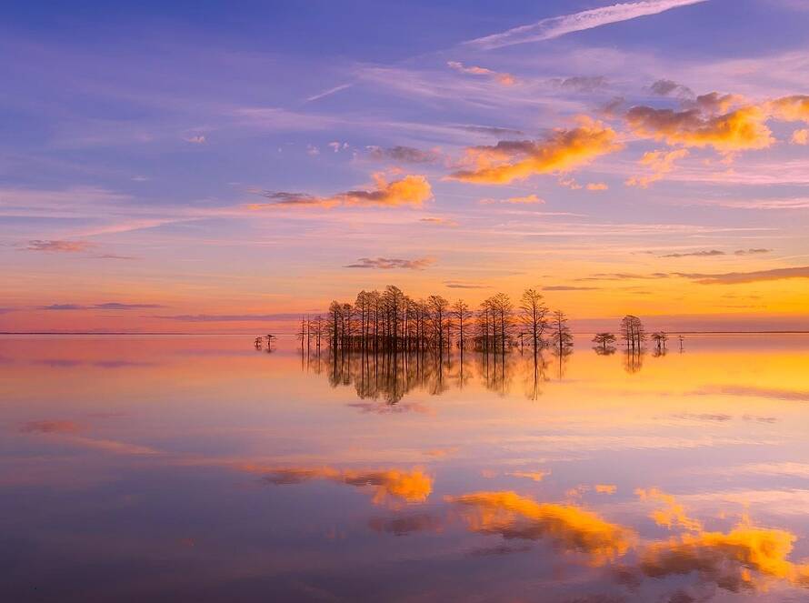 Healing voor Dieren op Afstand